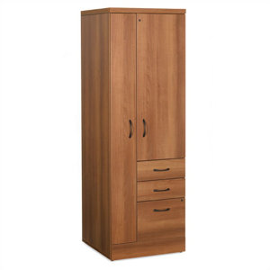 Correlation 2 Door Storage Cabinet