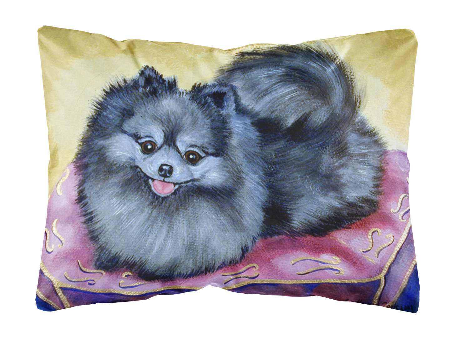 black and grey pomeranian