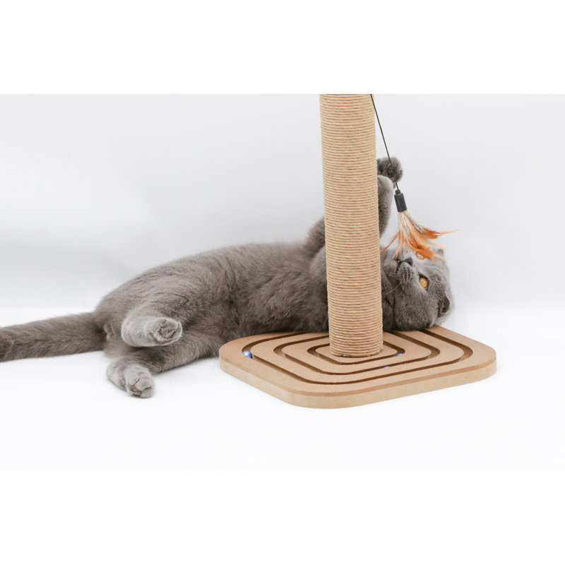wayfair cat scratching post