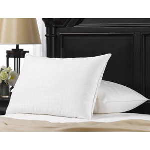 Exquisite Hotel Gel Fiber Pillow (Set of 2) by Ella Jayne Home