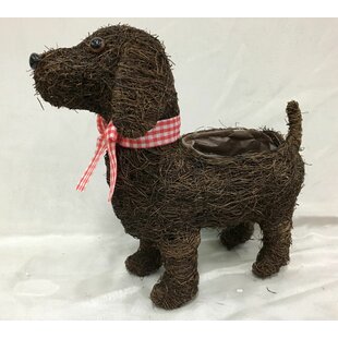Ewald Standing Dog Rattan Statue Planter By Brambly Cottage