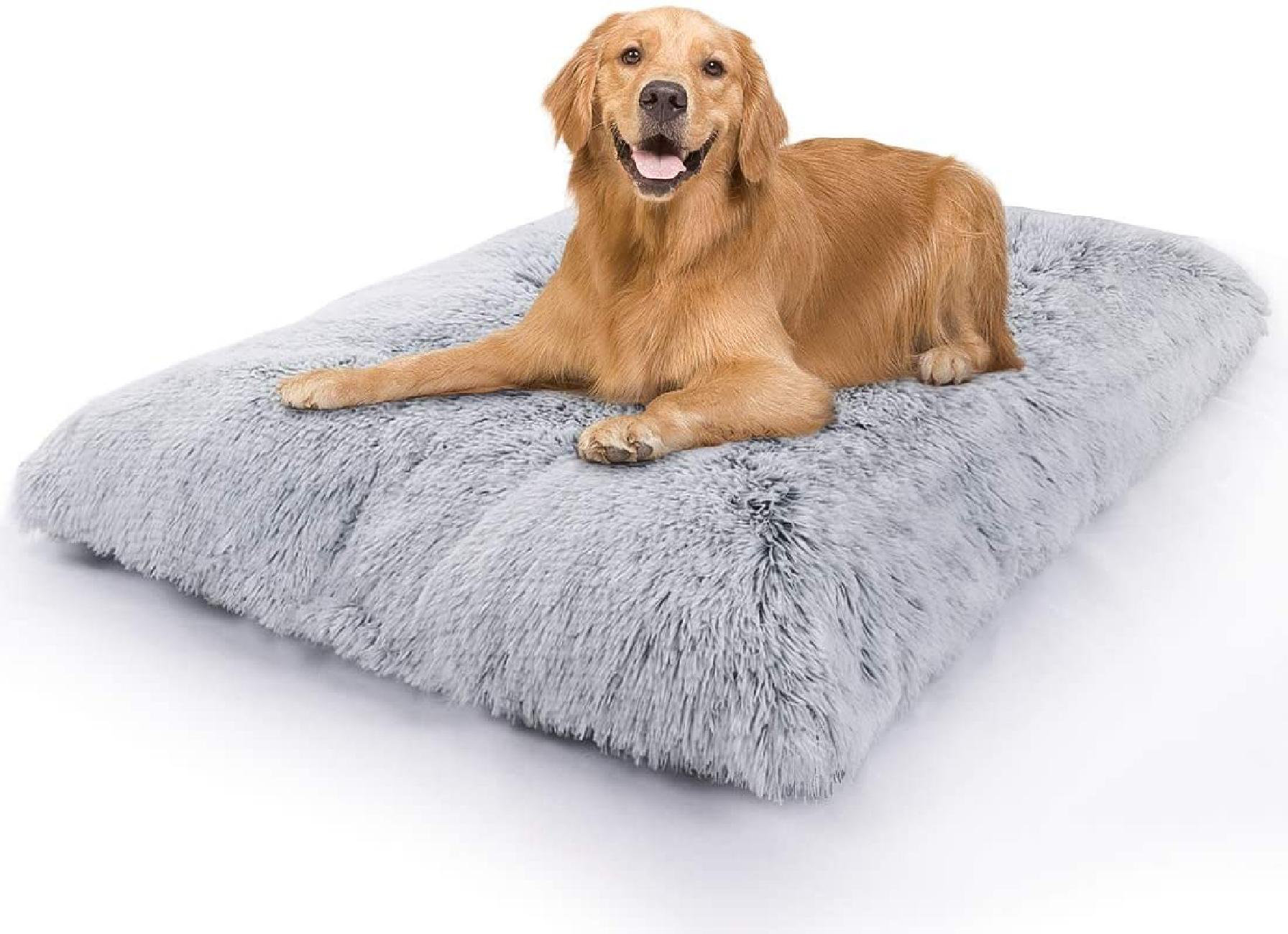 large dog crate bed
