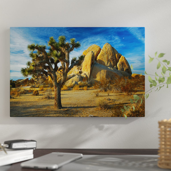 East Urban Home Joshua Tree Inselberg Photographic Print On