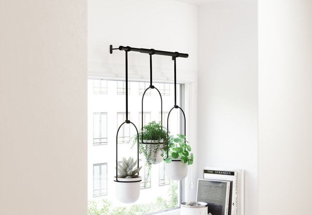 Find Your Perfect Vertical Garden