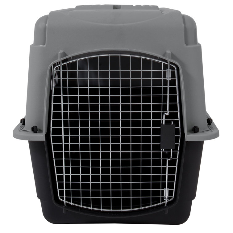 large plastic cat carrier