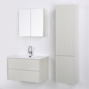 https://secure.img1-fg.wfcdn.com/im/58541626/resize-h310-w310%5Ecompr-r85/6193/61935984/32%22+Wall+Mounted+Single+Bathroom+Vanity+Set+with+Mirror.jpg