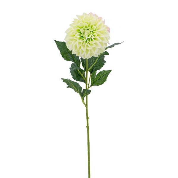 Primrue Dahlia Stem | Wayfair