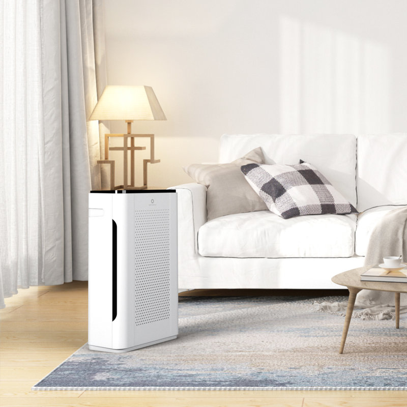 Air Purifier with HEPA Filter