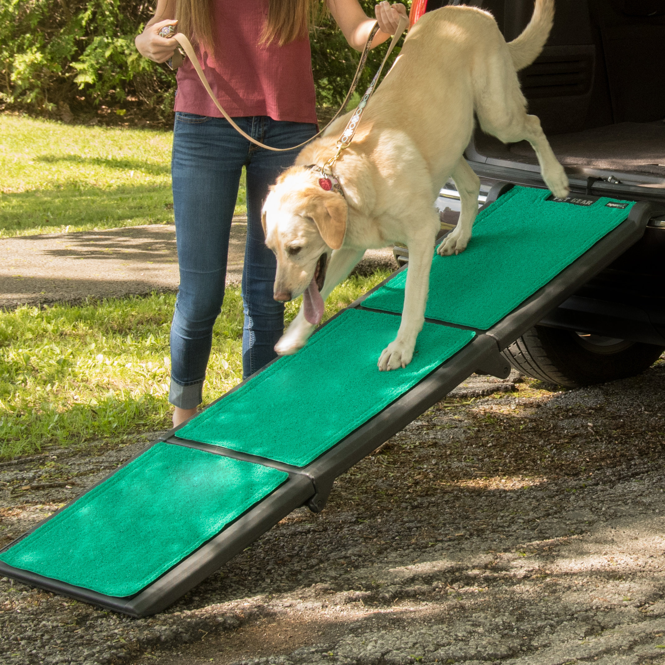 gen7pets feather lite pet ramp