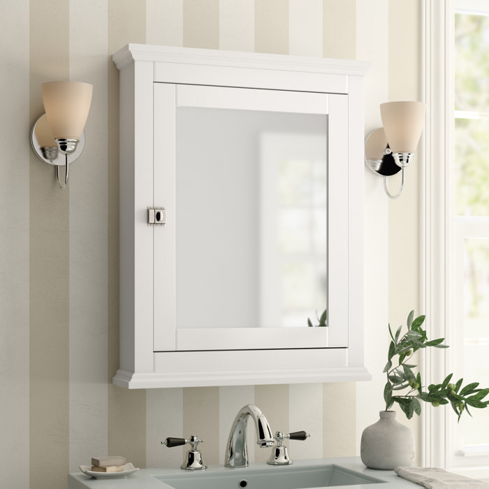 Birch Lane Mejia 23 62 X 30 Surface Mount Framed 1 Door Medicine