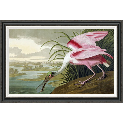 Global Gallery 'Roseate Spoonbill' by John James Audubon ...