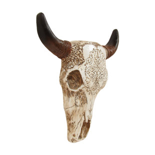 XL Red fox Skull cleaned by coyote/buffaloskull man 