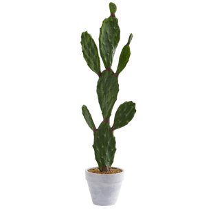 Large Artificial Cactus Wayfair Artificial Cactus Plant In Pot