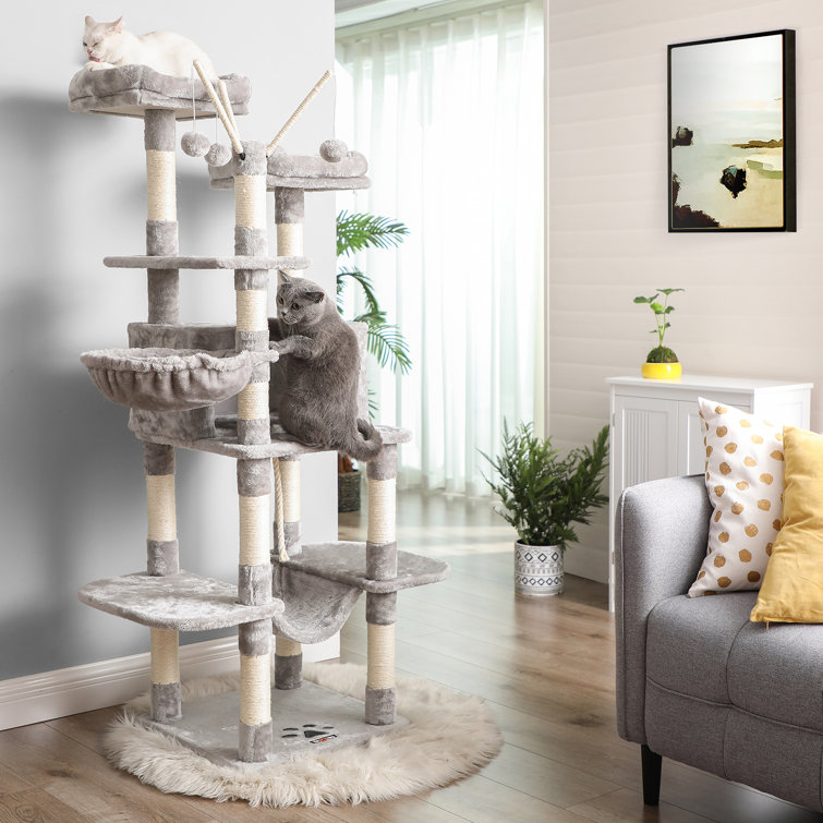 large cat condo