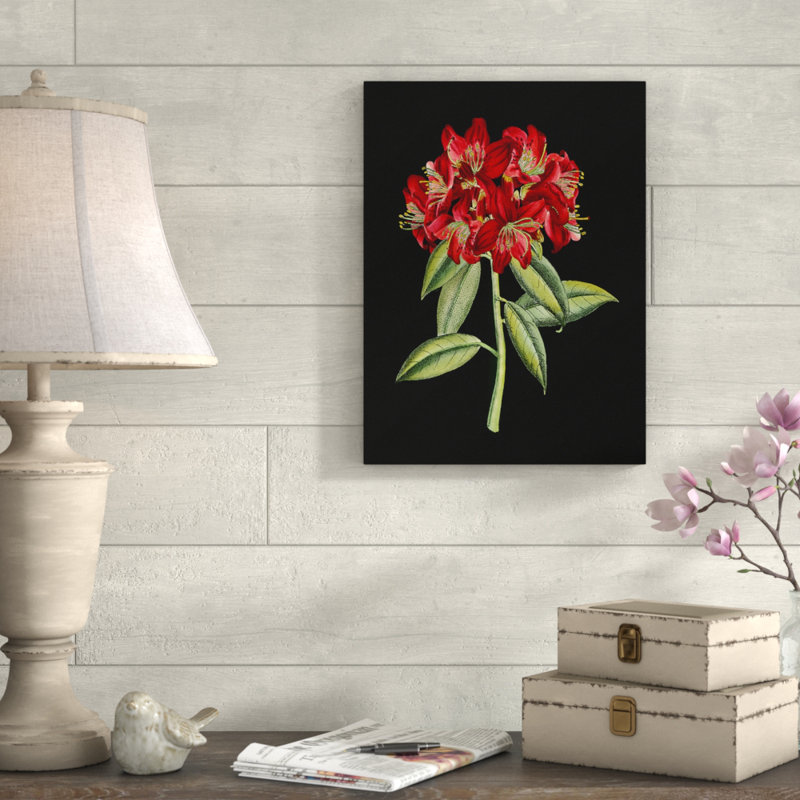 August Grove Crimson Flowers On Black Ii Acrylic Painting Print