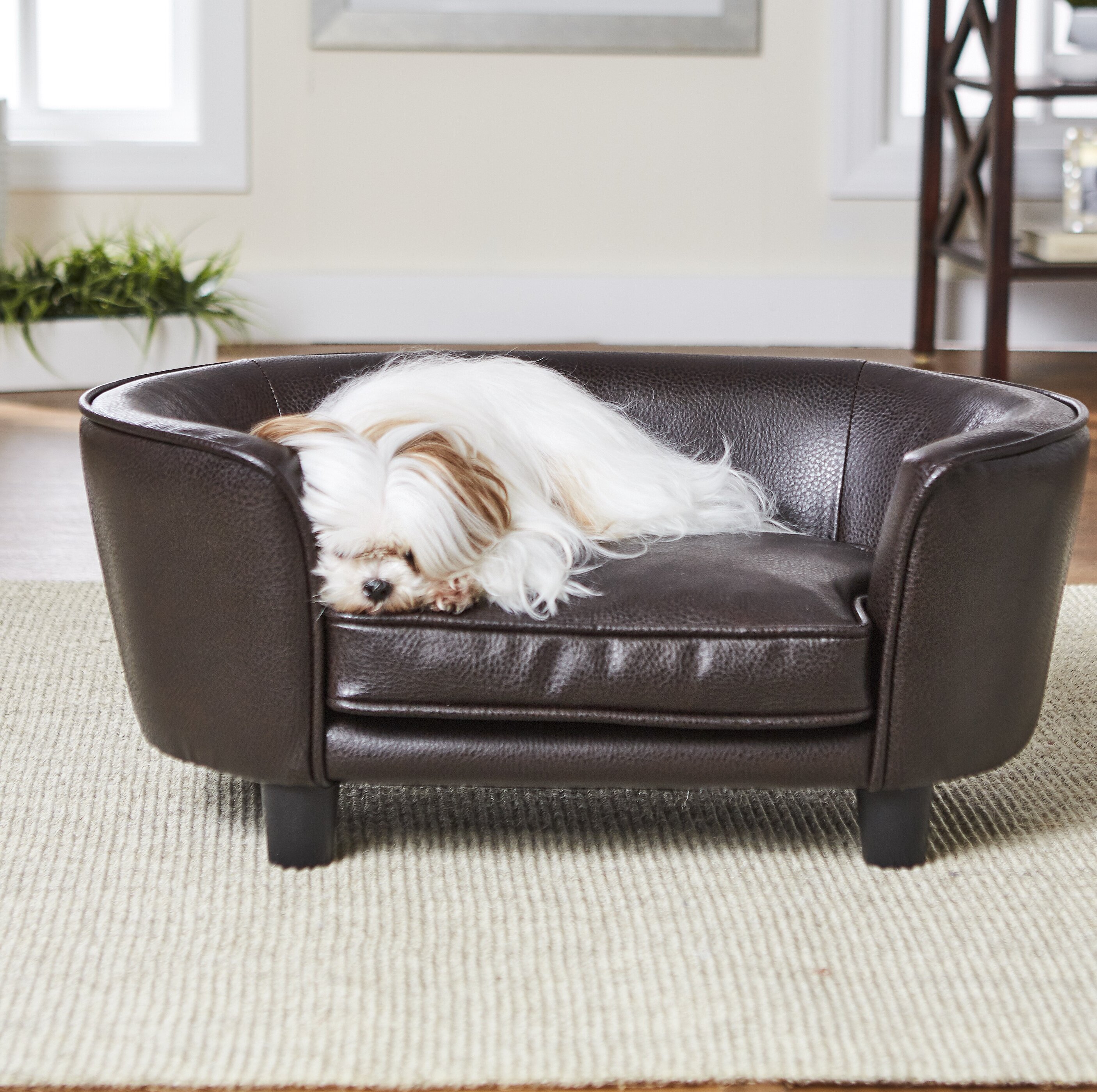 is leather furniture ok with dogs