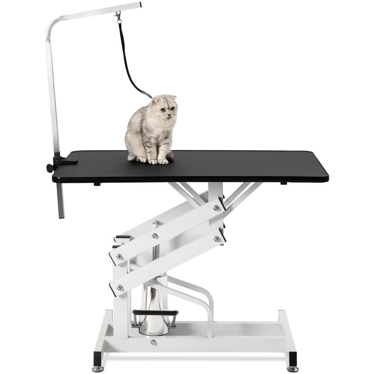 cat grooming stand