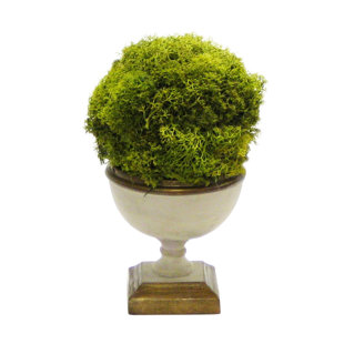 6 Water Grass Berry Ball Decorative Moss Ball Faux Greenery Vase