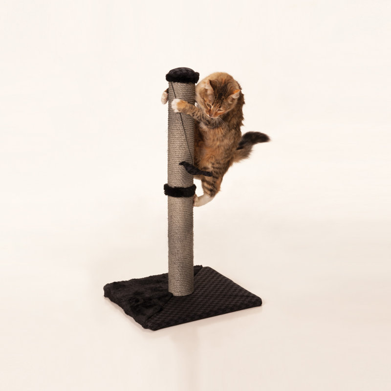 wayfair scratching post