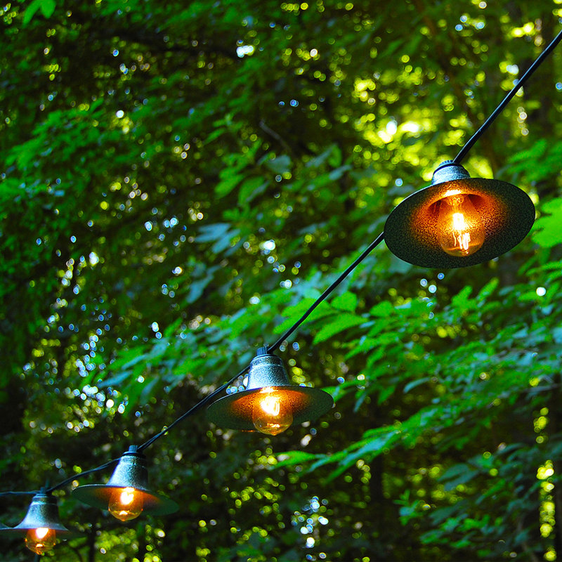 Wallpaper 17 Stories Nara 11 17 Outdoor 10 Bulb Shaded String Light Wayfair For Free