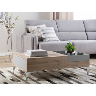 Epsom Coffee Table with Storage by Orren Ellis