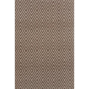 Hand-Woven Brown Indoor/Outdoor Area Rug