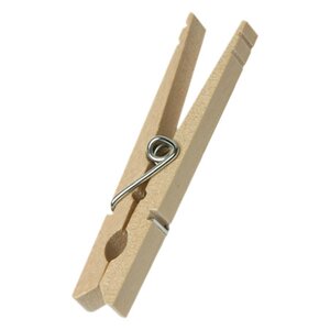 100 Count Clothes Pin with Spring