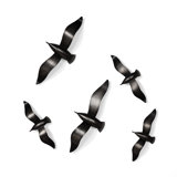 Modern Contemporary Angel Wings Wall Decor Allmodern