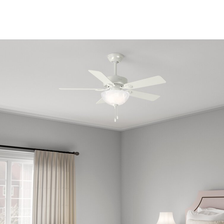 Hunter Fan 44 inch Fresh White Indoor Ceiling Fan with Light kit and Pull Chain 