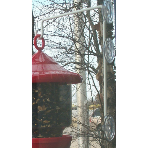 Couronne Tabletop Bird Feeder Stand Wayfair Ca