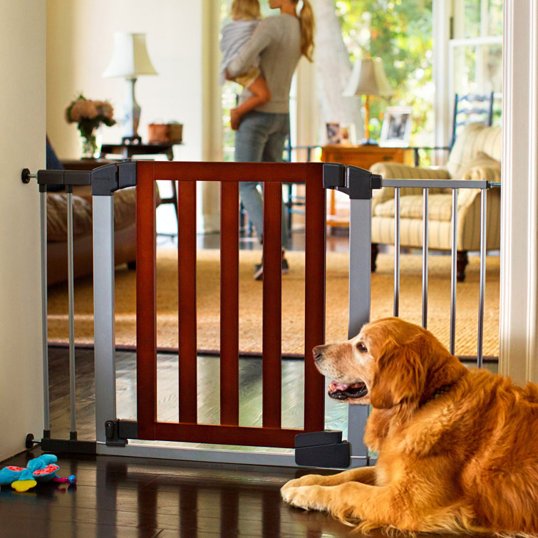 munchkin dog gate