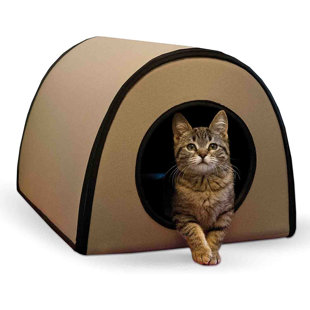heated igloo for cats