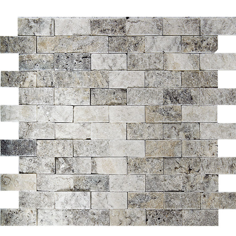 Parvatile Split Face 1 X 2 Mosaic Tile In Silver Reviews Wayfair
