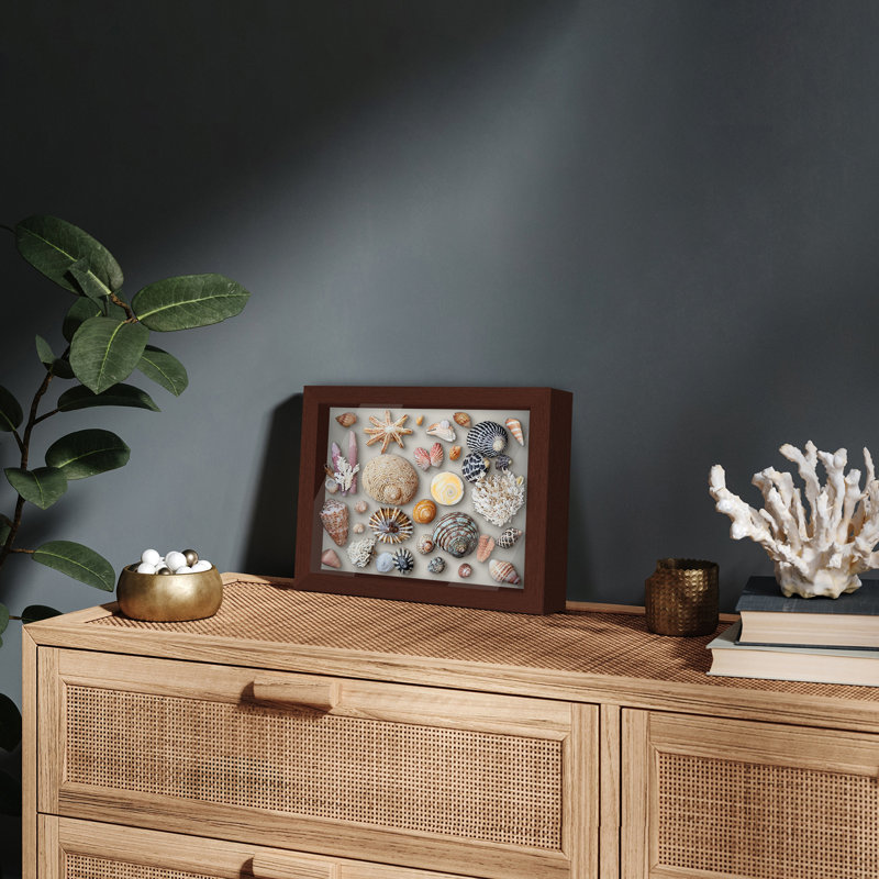 Sturdevant Shadow Box Frame Composite Wood with Glass for Hanging and Tabletop
