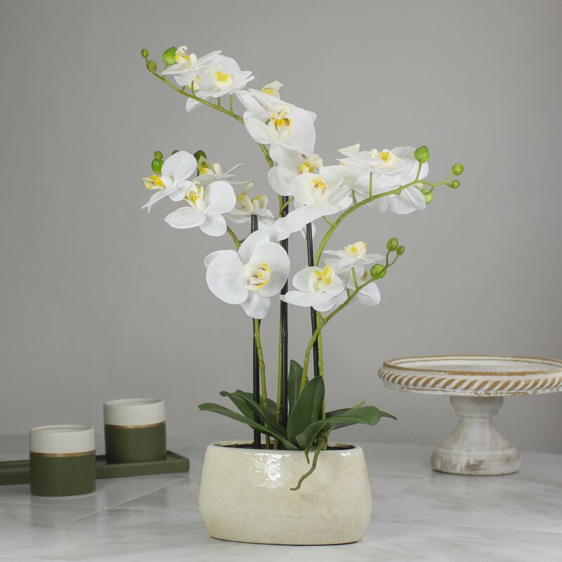 Northlight Artificial Orchids Floral Centerpieces in Pot | Wayfair