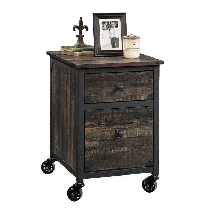 Williston Forge Rushton 2 Drawer Mobile Vertical Filing Cabinet Reviews Wayfair