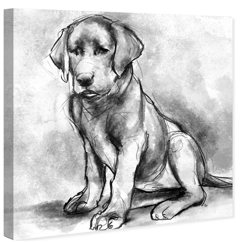 Art Remedy Dogs And Puppies Black Lab Ii Drawing Print On Wrapped Canvas Wayfair