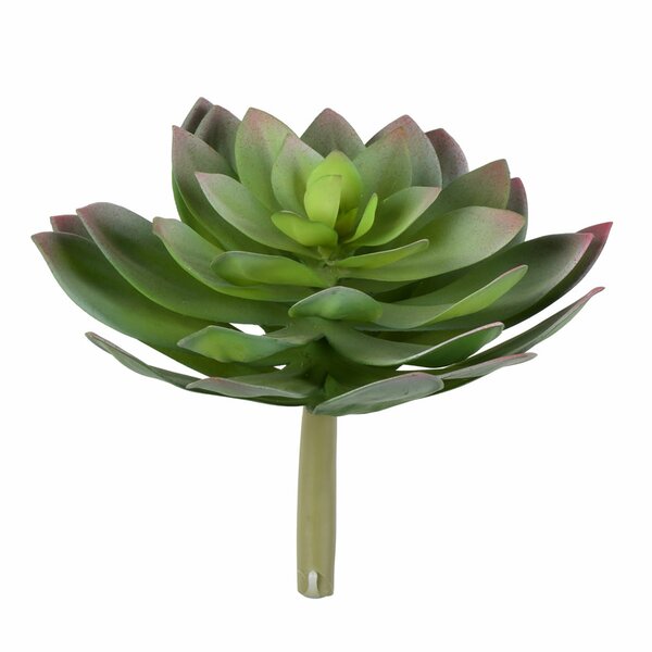 Latitude Run® Succulent Stem - Wayfair Canada