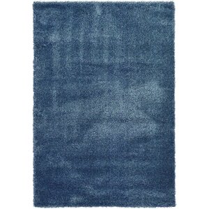 Holliday Navy Blue Area Rug