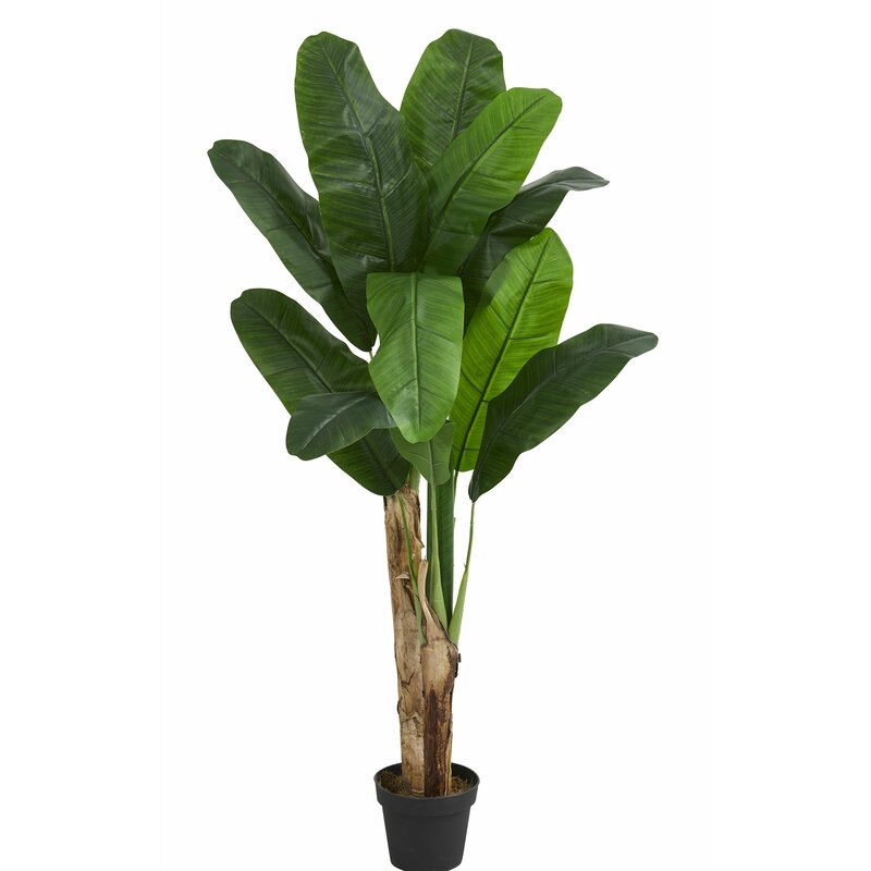 Bay Isle Home 41 5 Artificial Banana Leaf Tree In Planter Reviews Wayfair