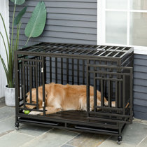 wayfair dog crates