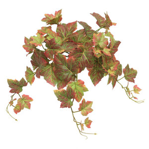 Decorative Autumn Grape Ivy Bush