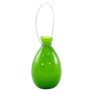 Sanora Tear Rooting Vase