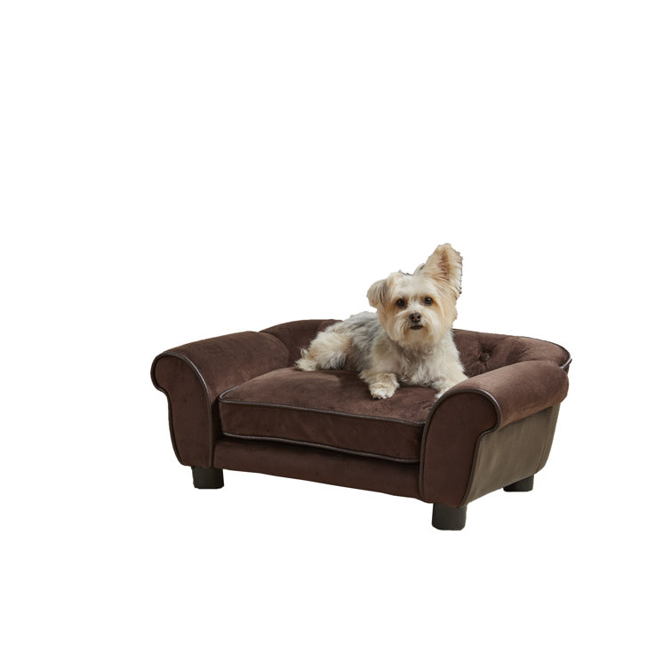 dog sofa cushion