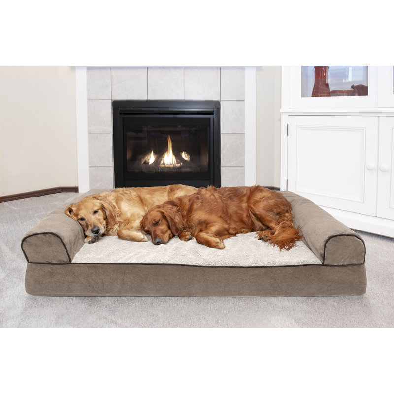 oval cushy dog sofa