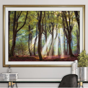 View Majestic Morning Photographic Print
