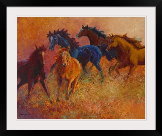 Great Big Canvas Free Range Horses By Marion Rose Framed Painting