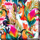 Outdoor Parrot Decor Wayfair