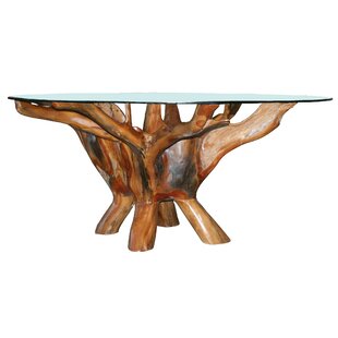 Tree Root Coffee Table Wayfair Ca