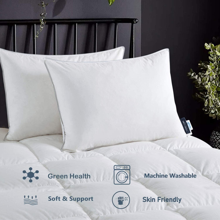 extra large hotel pillows